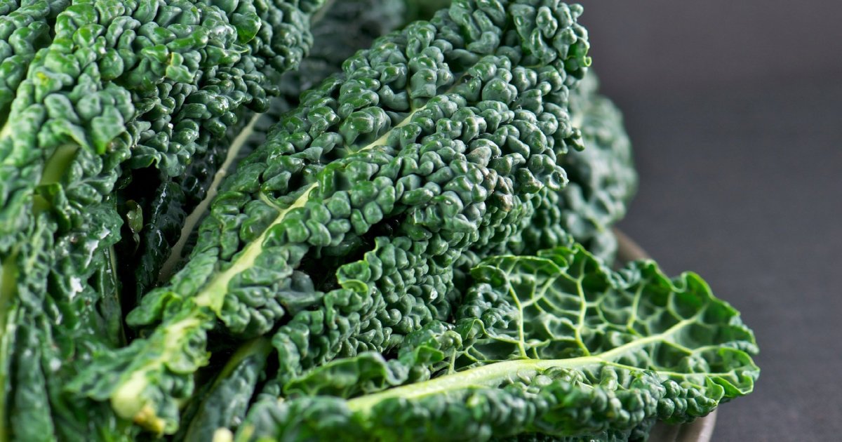 Chou kale : 23 façons savoureuses d&#8217;explorer les bienfaits de ce super-aliment
