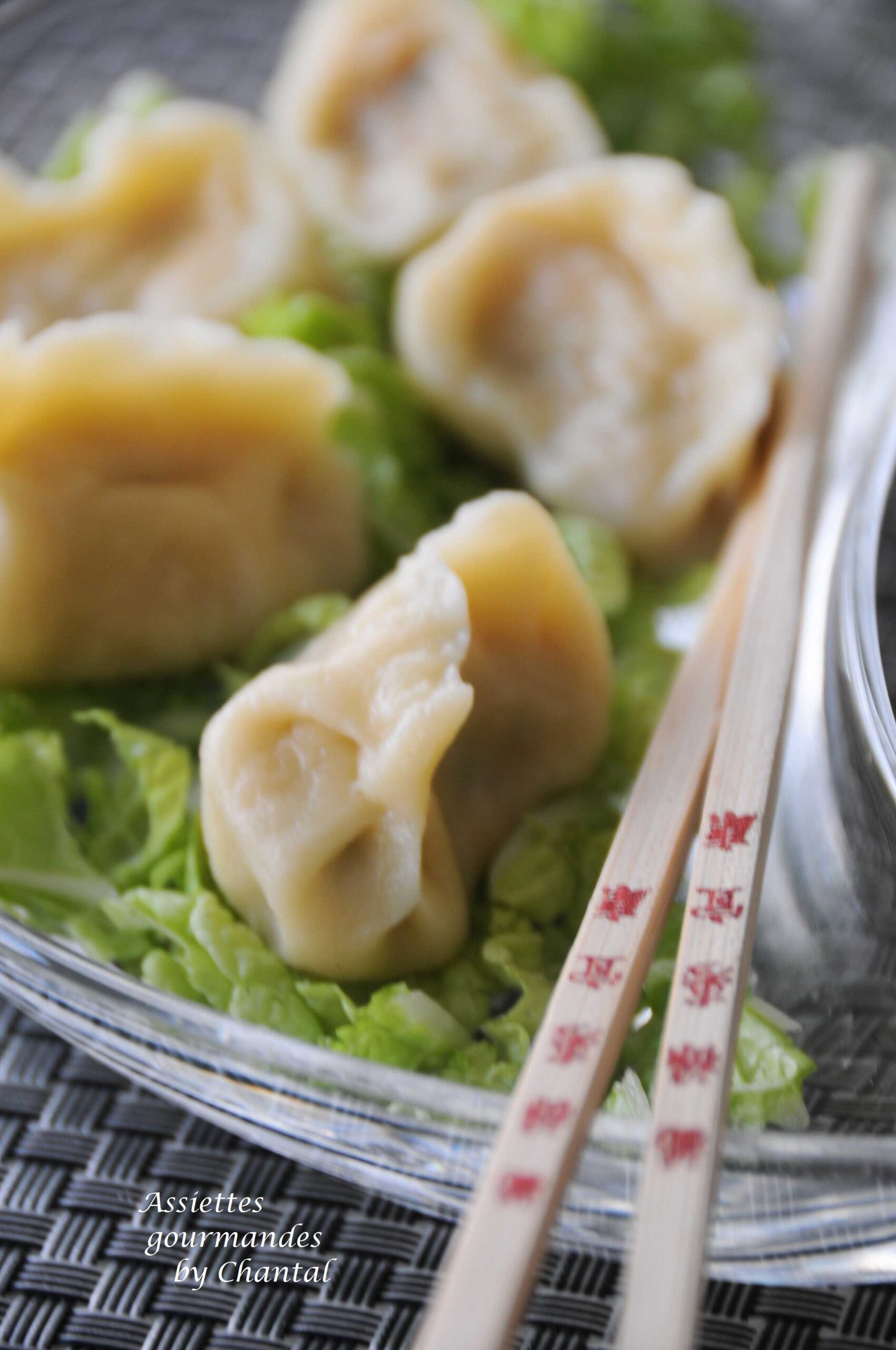 Raviolis asiatiques : 13 recettes authentiques pour maîtriser l&#8217;art comme un chef de restaurant