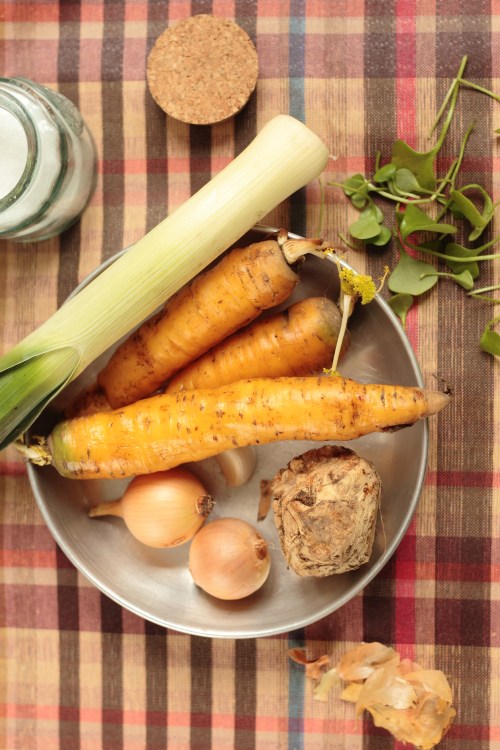 recettes de bouillons maison : des bases végétales essentielles aux plats savoureux