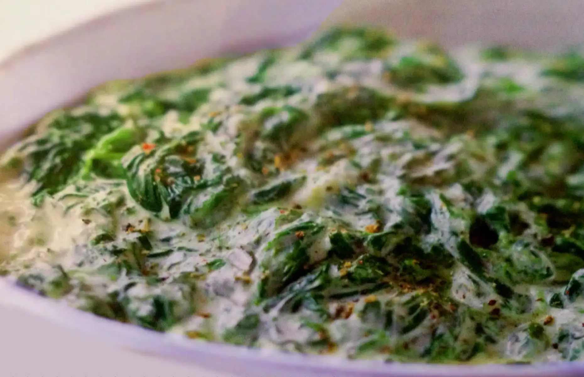 recettes incontournables à base d’épinards : découvrez ce super-aliment au-delà des idées reçues