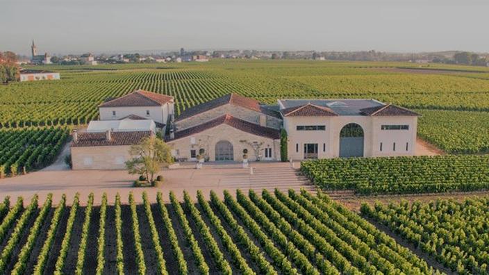 découvrez le vignoble varois, où l'équilibre parfait entre savoir-vivre et discrétion sublime chaque dégustation dans un cadre authentique et préservé.